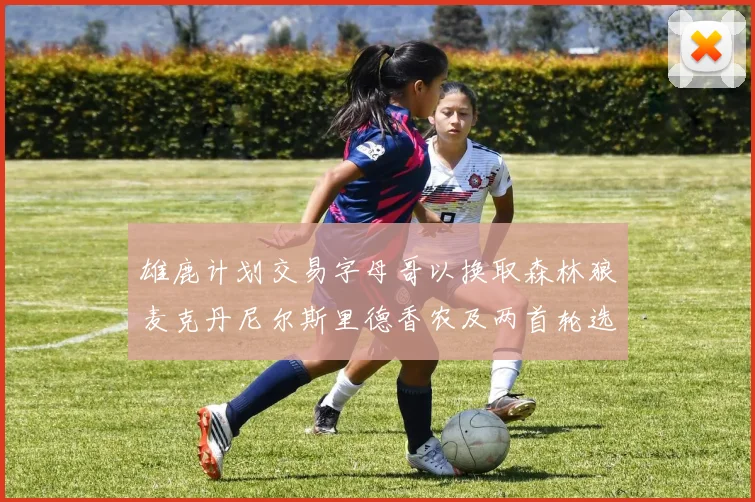 雄鹿计划交易字母哥以换取森林狼麦克丹尼尔斯里德香农及两首轮选秀权
